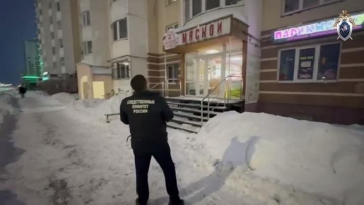 В Саратове снег с крыши дома травмировал шестилетнюю девочку В Саратове снег с крыши дома травмировал шестилетнюю девочку