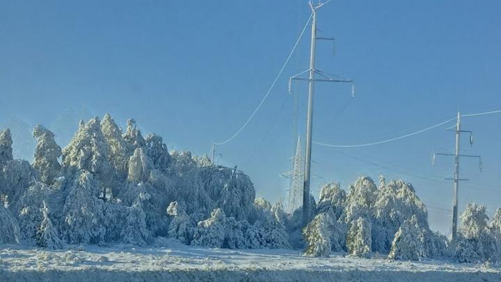 Ледяная сказка и трескучий мороз: какая погода ждет саратовцев сегодня Ледяная сказка и трескучий мороз: какая погода ждет саратовцев сегодня