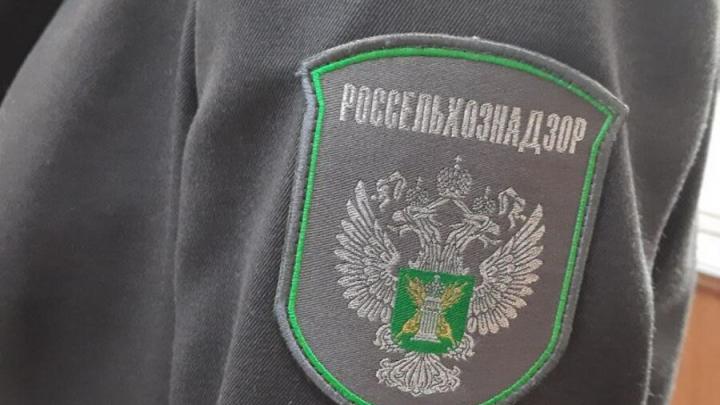 Россельхознадзор в Саратовской области с помощью ИИ нашёл более двух тысяч нарушений в пищевой отрасли Россельхознадзор в Саратовской области с помощью ИИ нашёл более двух тысяч нарушений в пищевой отрасли