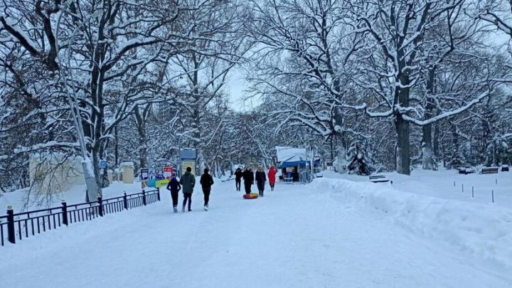 Городской парк Саратова добавлен в план благоустройства на этот год Городской парк Саратова добавлен в план благоустройства на этот год