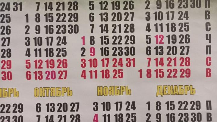 Три дня или целая неделя? Как саратовцы планируют провести праздничные выходные Три дня или целая неделя? Как саратовцы планируют провести праздничные выходные