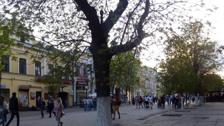 В Саратове разработают проект сноса трех аварийных домов 1917 года в центре города В Саратове разработают проект сноса трех аварийных домов 1917 года в центре города