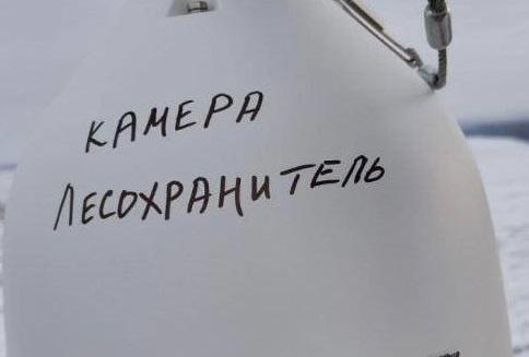 Пять новых «Лесохранителей» появятся в Саратовской области — пожары будут ловить на старте Пять новых «Лесохранителей» появятся в Саратовской области — пожары будут ловить на старте