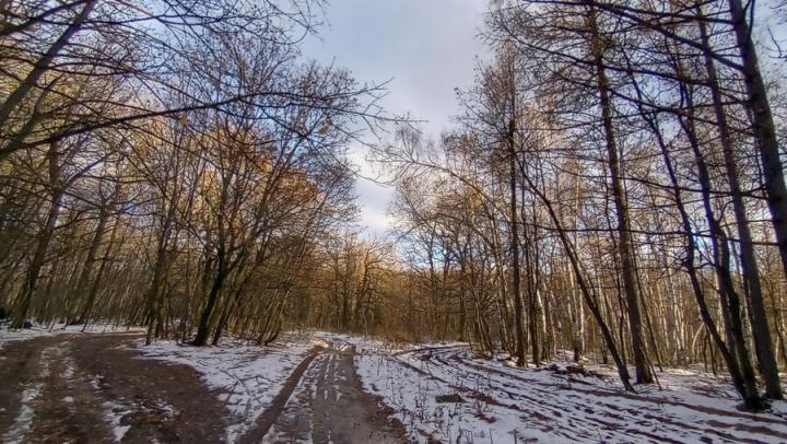 В Саратове снова потеплеет до +7 градусов В Саратове снова потеплеет до +7 градусов