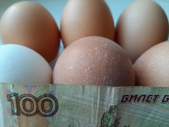 НЕ РОБКОГО ДЕСЯТКА НЕ РОБКОГО ДЕСЯТКА