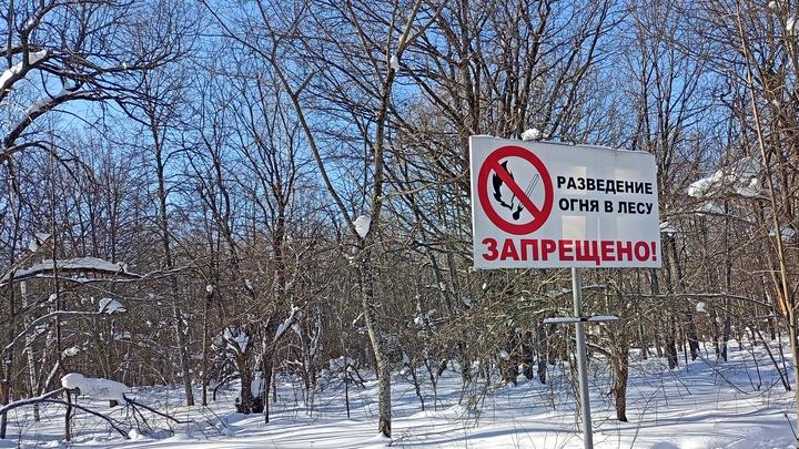 В Саратовской области начался пожароопасный сезон В Саратовской области начался пожароопасный сезон