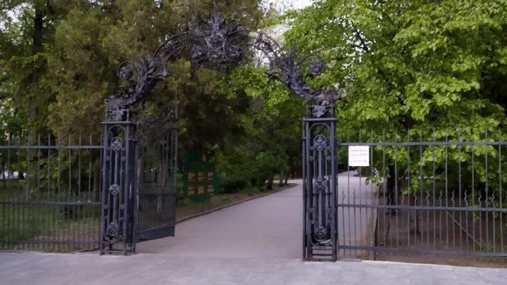 В саратовском парке появились говорящие деревья В саратовском парке появились говорящие деревья
