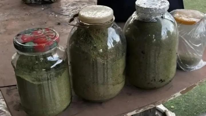 Почти 2,5 кг марихуаны: в Марксовском районе задержали подозреваемых в торговле наркотиками Почти 2,5 кг марихуаны: в Марксовском районе задержали подозреваемых в торговле наркотиками