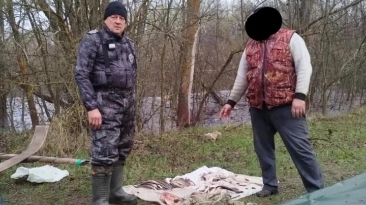 За две недели Рыбоохрана выявила в Саратовской области 102 нарушения За две недели Рыбоохрана выявила в Саратовской области 102 нарушения