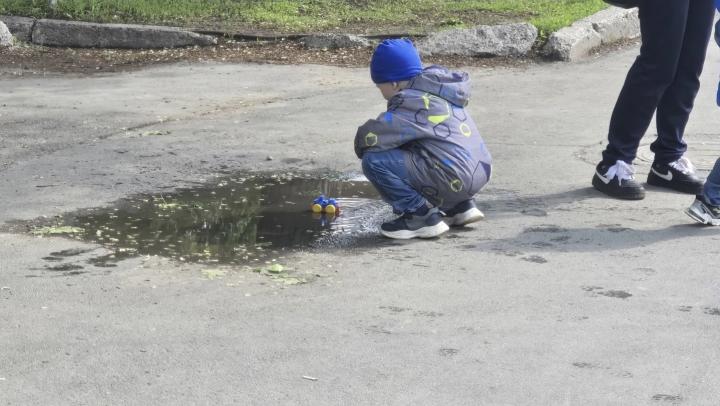 В Саратовской области ожидается переменчивая погода с дождями, туманом и усилением ветра В Саратовской области ожидается переменчивая погода с дождями, туманом и усилением ветра
