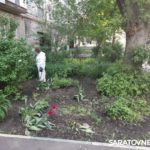 После прорыва коллектора в Энгельсе дезинфицируют дворы на улице Полтавской После прорыва коллектора в Энгельсе дезинфицируют дворы на улице Полтавской