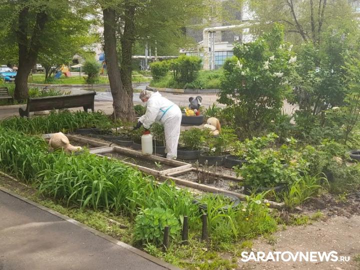 После прорыва коллектора в Энгельсе дезинфицируют дворы на улице Полтавской После прорыва коллектора в Энгельсе дезинфицируют дворы на улице Полтавской