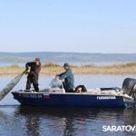 Браконьерские сети убрали с волжских водоёмов: за три дня — 400 кг спасённой рыбы Браконьерские сети убрали с волжских водоёмов: за три дня — 400 кг спасённой рыбы