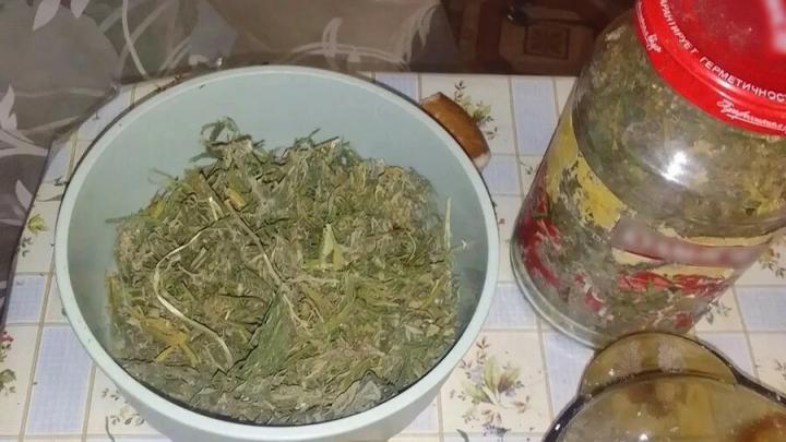 Под Саратовом потерпевший стал уголовником: спалился на «травке» Под Саратовом потерпевший стал уголовником: спалился на «травке»