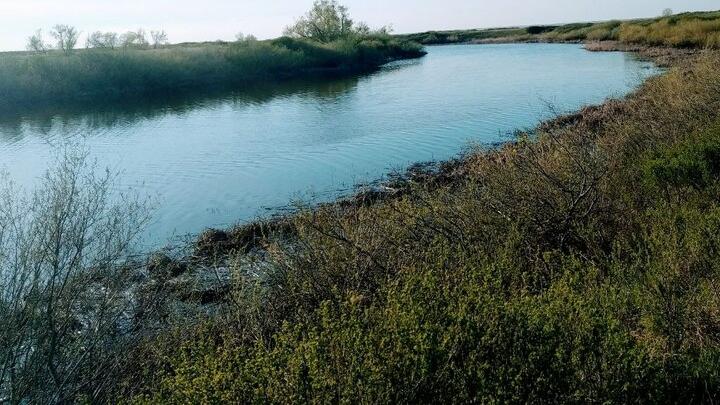 Трагедия на воде в Саратовской области: купание с братом закончилось гибелью Трагедия на воде в Саратовской области: купание с братом закончилось гибелью