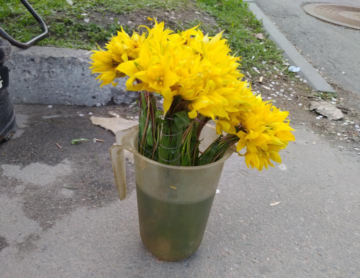 ЭТО ВСЕ ЦВЕТОЧКИ ЭТО ВСЕ ЦВЕТОЧКИ