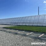 1,6 тысячи гектаров леса высадили весной в Саратовской области 1,6 тысячи гектаров леса высадили весной в Саратовской области