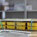 Саратовцы стали получать по почте пчел в посылках