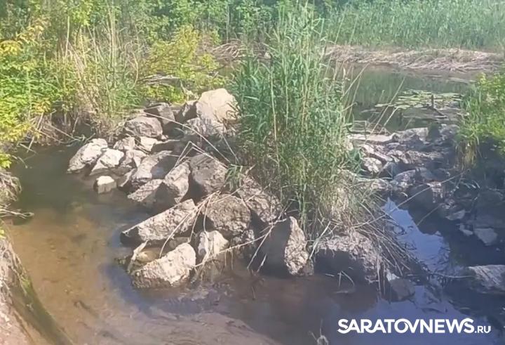 Энгельсские дачники бьют тревогу из-за обмеления Сухой Саратовки