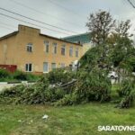 Порыв ветра в центре Энгельса сломал ель