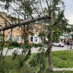 Порыв ветра в центре Энгельса сломал ель