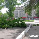 Шквалистый ветер в Саратове ломает деревья Шквалистый ветер в Саратове ломает деревья
