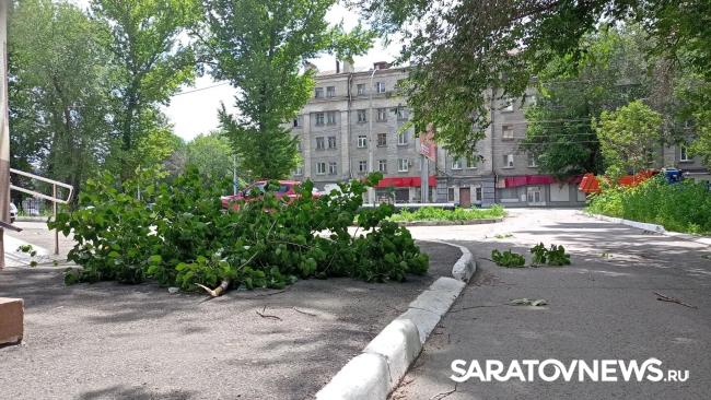 Шквалистый ветер в Саратове ломает деревья