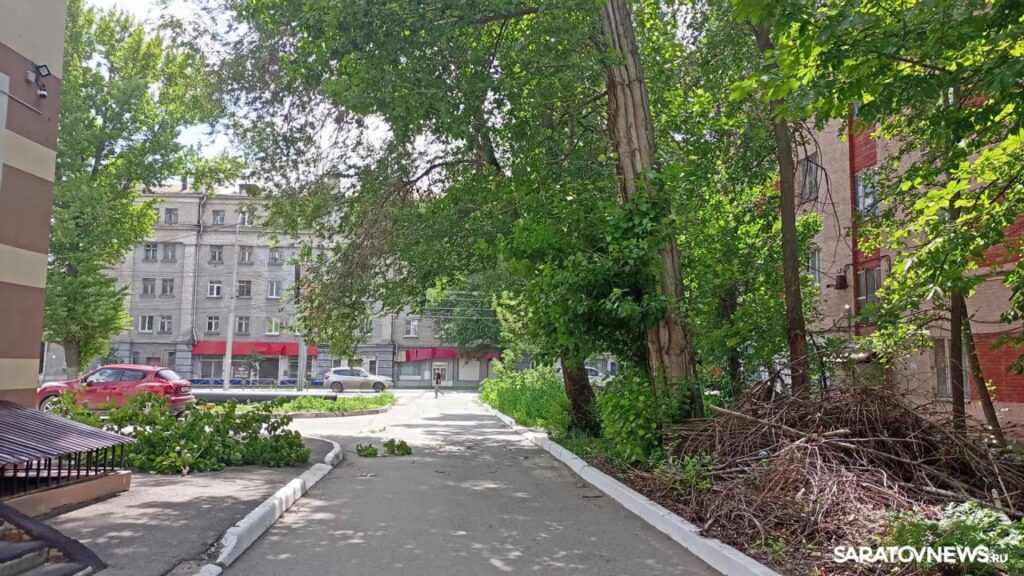 Шквалистый ветер в Саратове ломает деревья Шквалистый ветер в Саратове ломает деревья