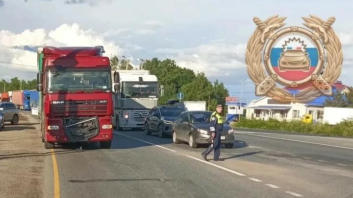 В Вольском районе грузовик насмерть сбил женщину В Вольском районе грузовик насмерть сбил женщину