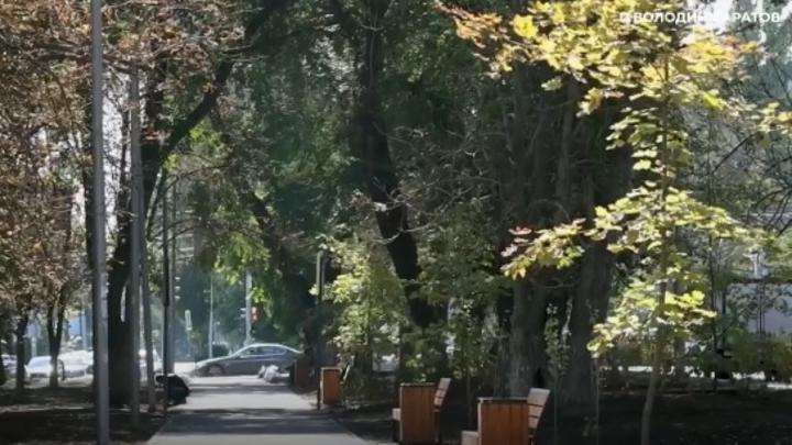 В Саратове планируют соединить набережную и Глебучев овраг новым парком В Саратове планируют соединить набережную и Глебучев овраг новым парком
