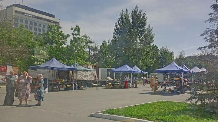 В Саратове на Театральной площади до конца июня развернётся ежедневная ярмарка В Саратове на Театральной площади до конца июня развернётся ежедневная ярмарка