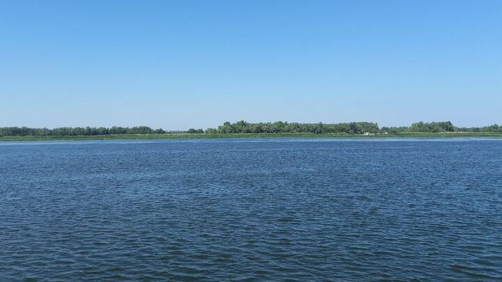 Саратовский врач назвала главные причины гибели людей на воде Саратовский врач назвала главные причины гибели людей на воде
