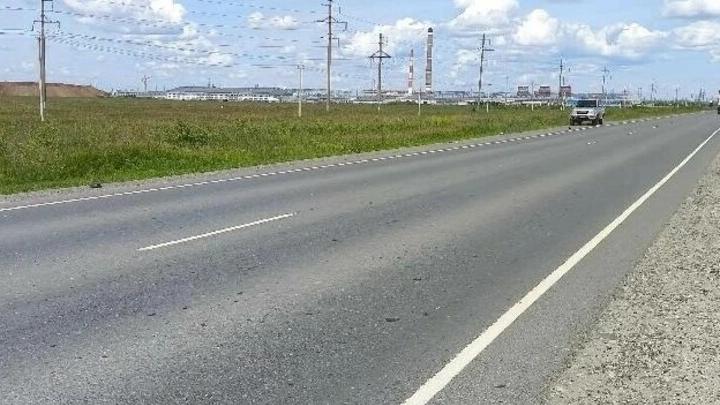 Водитель насмерть сбил пешехода под Балаковом и скрылся Водитель насмерть сбил пешехода под Балаковом и скрылся