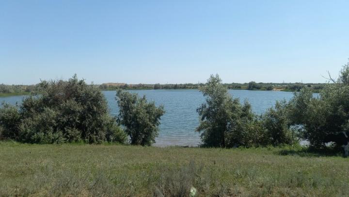 В Заволжье Саратовской области начали заполнять пруды: куда направят 8 млн кубометров воды В Заволжье Саратовской области начали заполнять пруды: куда направят 8 млн кубометров воды