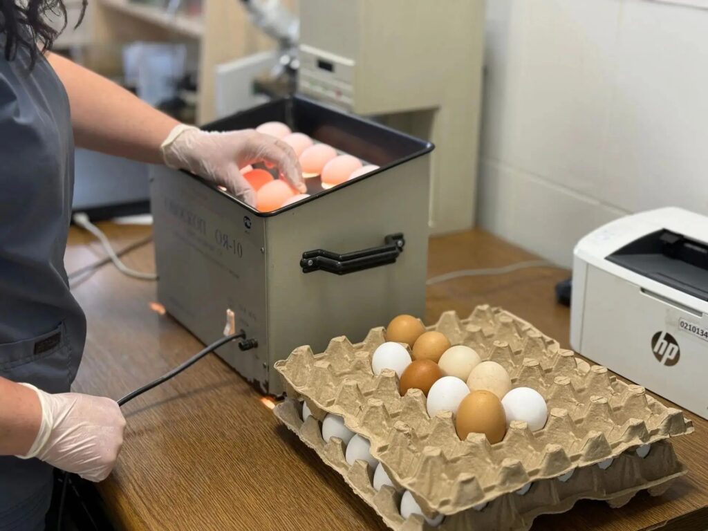 В Энгельсе за полгода не допустили к продаже 3,8 тонны небезопасных продуктов питания