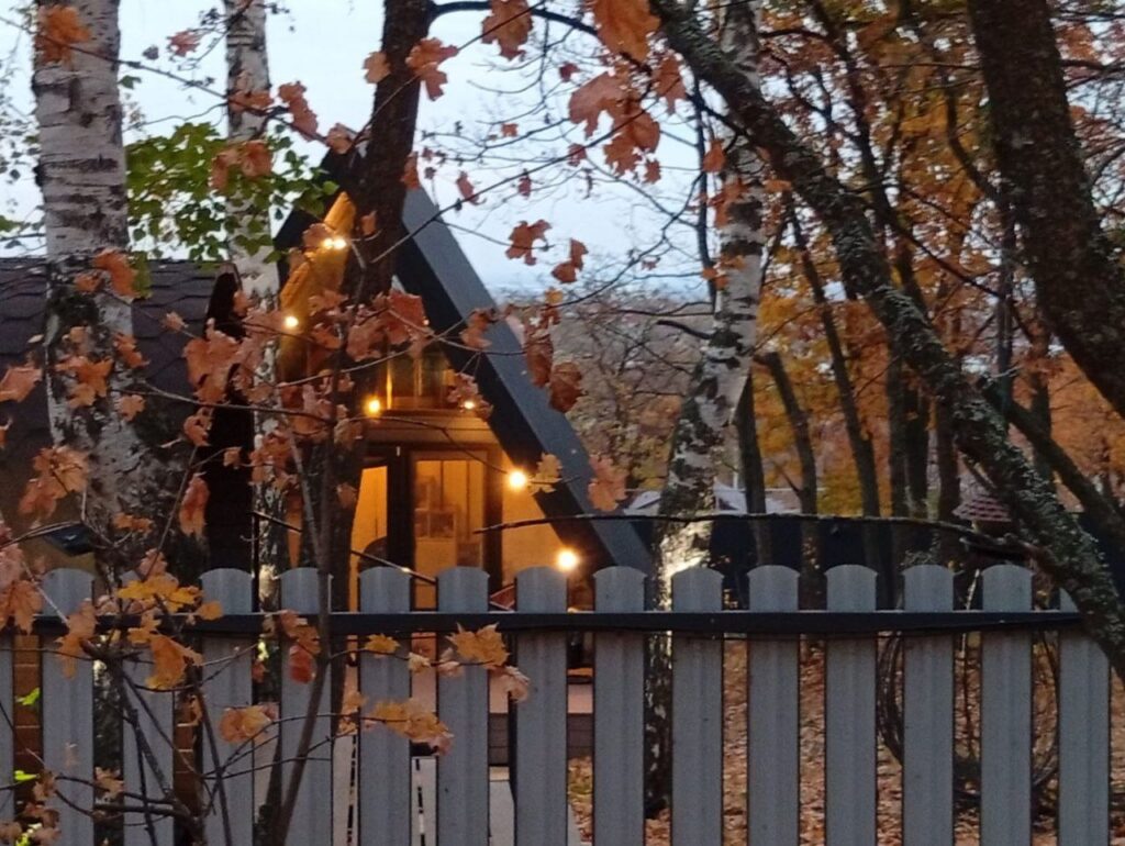 Кто из саратовских школьников получит путевку в «Артек»: известен список условий
