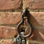 Выставка о братьях Леонтьевых в Усадьбе Чернышевского Выставка о братьях Леонтьевых в Усадьбе Чернышевского