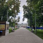 Аллея у Крытого рынка: что с ней не так Аллея у Крытого рынка: что с ней не так