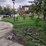 Аллея у Крытого рынка: что с ней не так Аллея у Крытого рынка: что с ней не так