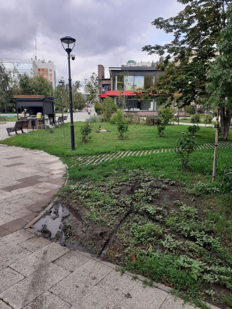 Аллея у Крытого рынка: что с ней не так Аллея у Крытого рынка: что с ней не так
