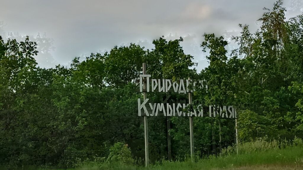 На Кумысной поляне в Саратове высадят новые леса На Кумысной поляне в Саратове высадят новые леса