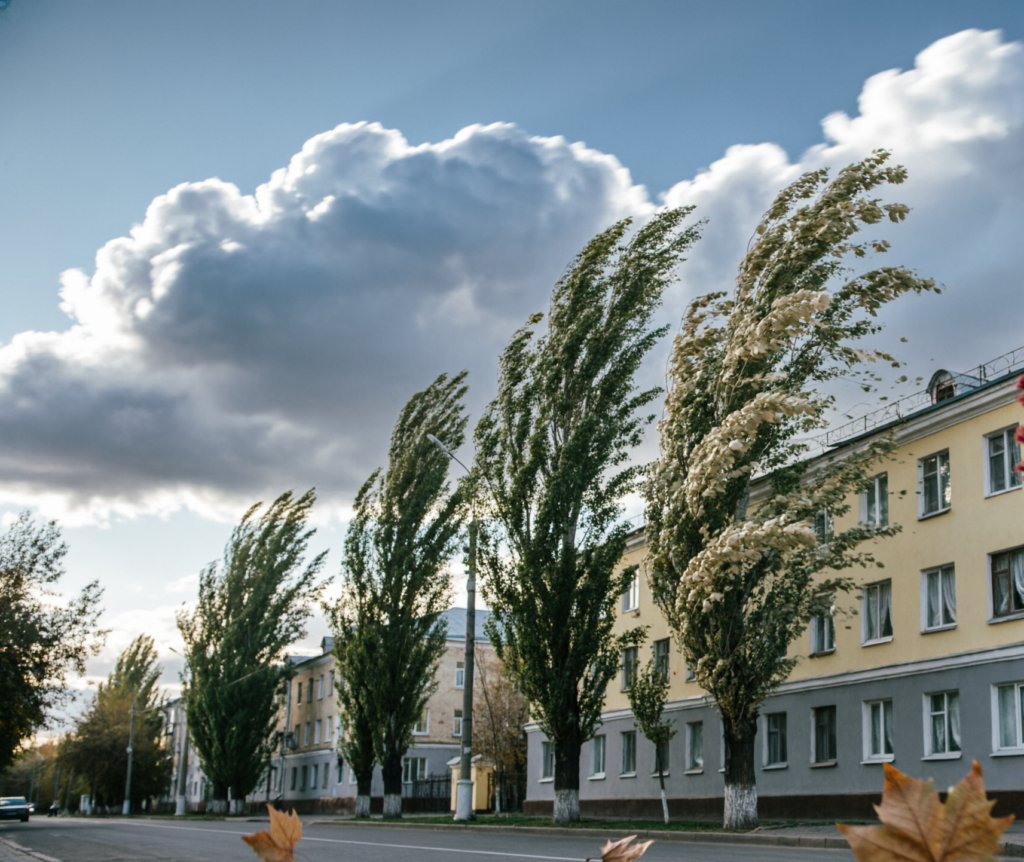 В Саратове прохладно и ветрено