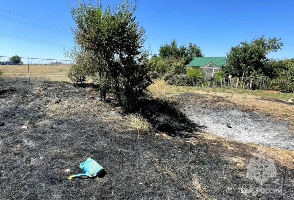 В Саратовской области пенсионер умер, когда тушил сухую траву