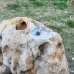В Энгельсе с нового туристического маршрута украли скульптуру бычка-гимназиста В Энгельсе с нового туристического маршрута украли скульптуру бычка-гимназиста