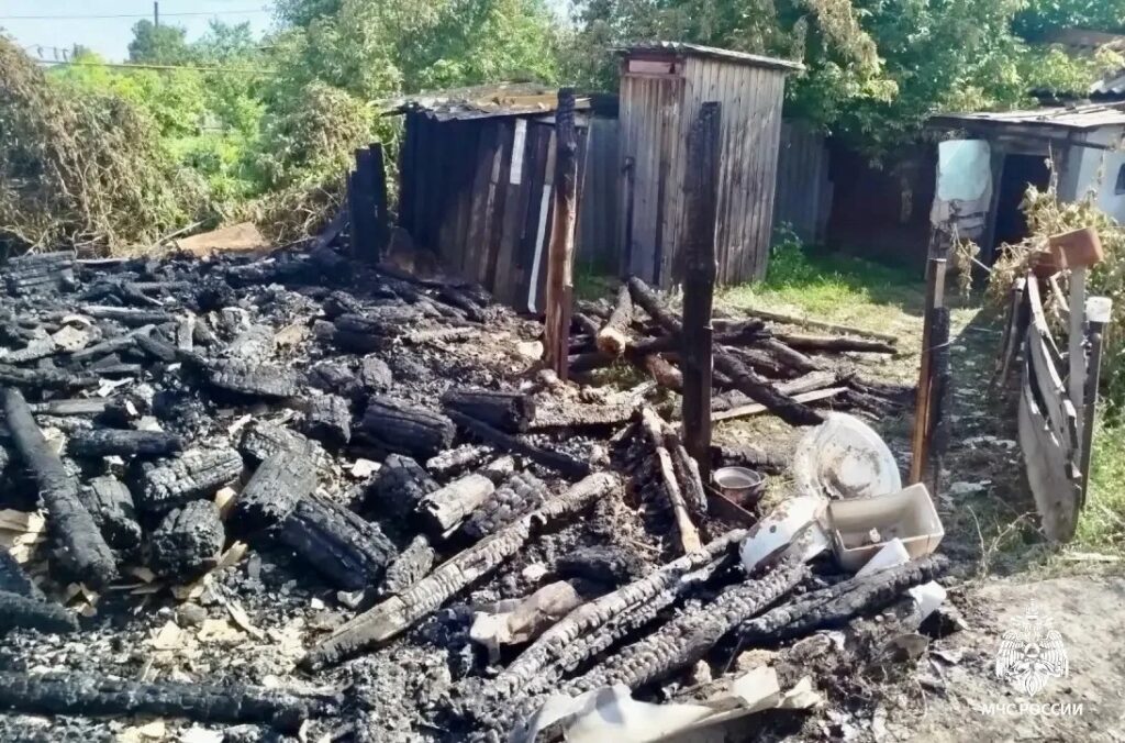 Куры сгорели на пожаре в Саратовской области