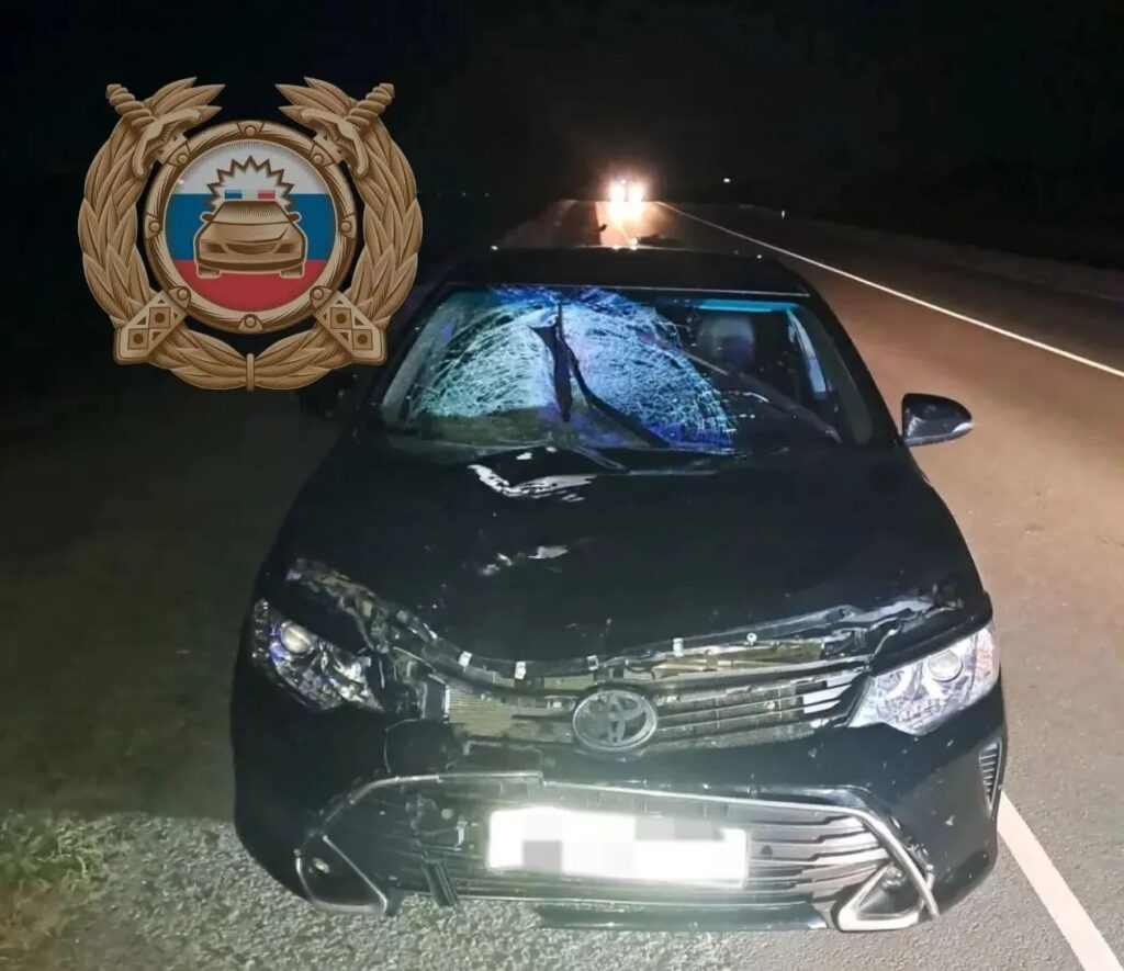 В Энгельсском районе водитель иномарки насмерть сбил мужчину