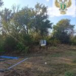 Трое детей и взрослый пострадали в перевернувшемся автобусе в Саратовской области Трое детей и взрослый пострадали в перевернувшемся автобусе в Саратовской области