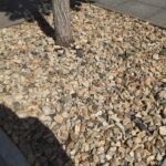 Приствольные круги вокруг деревьев на Волжской закрыли черной геотканью и засыпали щебёнкой Приствольные круги вокруг деревьев на Волжской закрыли черной геотканью и засыпали щебёнкой