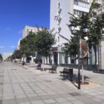 Приствольные круги вокруг деревьев на Волжской закрыли черной геотканью и засыпали щебёнкой Приствольные круги вокруг деревьев на Волжской закрыли черной геотканью и засыпали щебёнкой