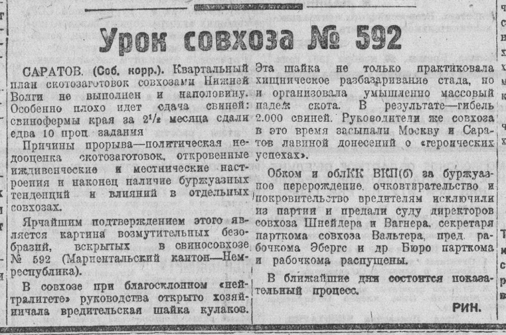Саратовцам рассказали о «возмутительных безобразиях», вскрытых в свиносовхозе в 1932 году